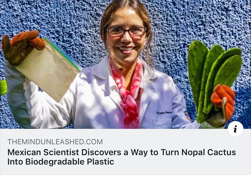 “Chemical engineering professor Sandra Pascoe Ortiz has found a novel alternative to plastic—one based on nopal, or prickly pear cactus, which has long been a national symbol of Mexico and a crucial staple of the Mexican diet.” #MEXtalksMonday
.
.
.
LINK IN BIO.