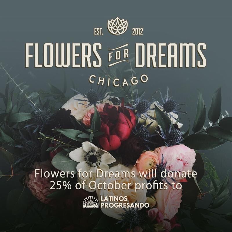 Don’t forget that Flowers for Dreams is donating 25% of their October profits to LP, so if you have a special event coming next month, we hope you’ll consider supporting us and the hundreds of immigrant families we serve.