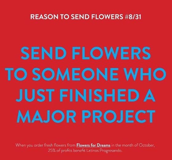 Celebrate someone who just finished a major project by sending a fall bouquet from @flowersfordreams . Flowers for Dreams will be donating 25% of their October profits to Latinos Progresando!