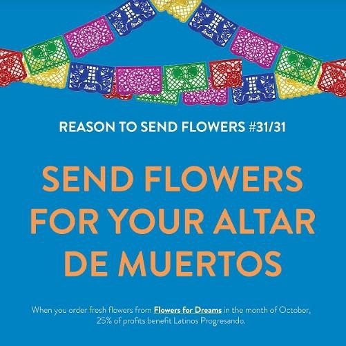 Order your flowers to celebrate DÍa de Los Muertos and decorate your altars. Latinos Progresando has been @flowersfordreams ‘s charity partner for the month of October. There’s still a little time to send 25% of your flower purchase to LP.