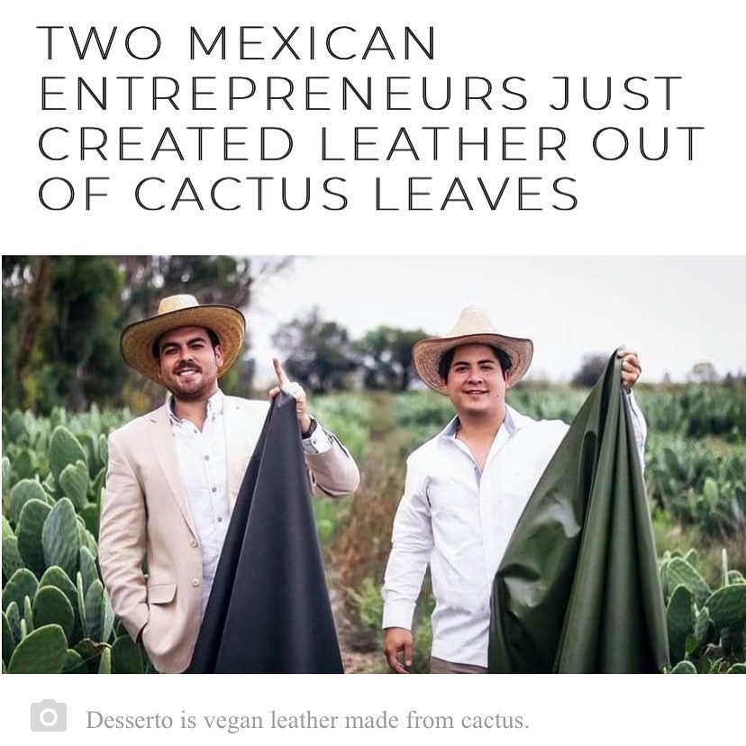 “Adrián López Velarde and Marte Cázarez are said to be the first to create organic leather out of only nopal (prickly-pear) cactus. They don’t use toxic chemicals, phthalates, or PVC in their design.” #MEXtalksMonday .
.
.
Link in bio